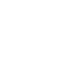 Website Delivered Icon