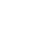 SEO Projects Delivered Icon