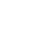 GSAP Icon