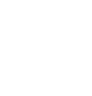 Laravel Icon