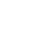 Next.js Icon