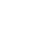 Wordpress Icon